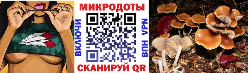 Псилоцибиновые грибы GOLDEN TEACHER  купить наркотик  Александровск-Сахалинский 